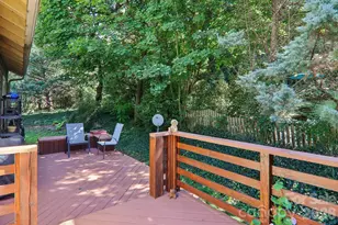 137 Sulphur Springs Rd, Asheville, NC 28806 - Photo 23