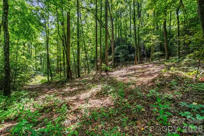 163 Camp Elliott Road, Black Mountain, NC 28711 - Photo 15