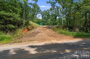 163 Camp Elliott Rd, Black Mountain, NC 28711 - Photo 1