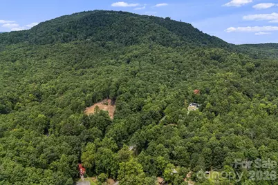 163 Camp Elliott Road, Black Mountain, NC 28711 - Photo 25