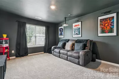 3719 Stanley Creek Drive, Mount Holly, NC 28120 - Photo 19
