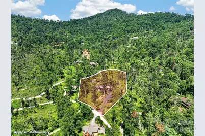299 Webb Cove Road, Asheville, NC 28804 - Photo 7