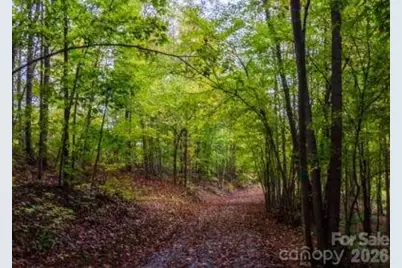 538 Grandview Peaks Drive #31, Nebo, NC 28761 - Photo 5