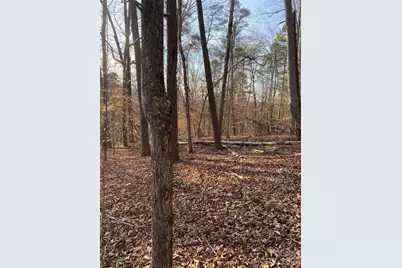 0 Hugh Champion Road, Tryon, NC 28782 - Photo 3