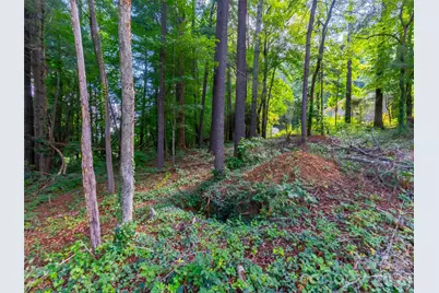 00 Marley Drive #5, Flat Rock, NC 28731 - Photo 5
