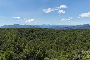 77 Raccoon Rdg, Marion, NC 28732 - Photo 9