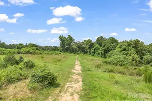 588 Hog Pen Branch Rd, Mooresboro, NC 28114 - Photo 43