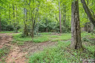 588 Hog Pen Branch Rd, Mooresboro, NC 28114 - Photo 9