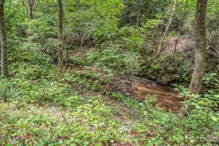 588 Hog Pen Branch Rd, Mooresboro, NC 28114 - Photo 11