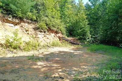 999 Fowler Lane, Fletcher, NC 28732 - Photo 1