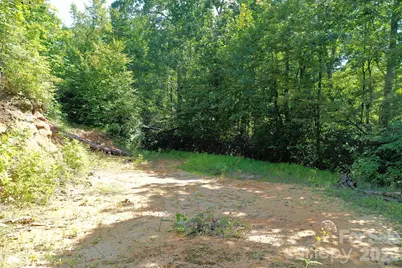 999 Fowler Lane, Fletcher, NC 28732 - Photo 9