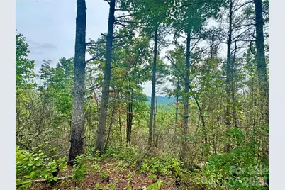 1.46 Acres, Lot 48 Tomahawk Ridge Drive #Lot 48, Lenoir, NC 28645 - Photo 11