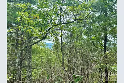 1.46 Acres, Lot 48 Tomahawk Ridge Drive #Lot 48, Lenoir, NC 28645 - Photo 13