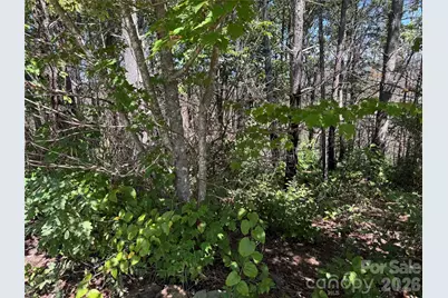 1.46 Acres, Lot 48 Tomahawk Ridge Drive #Lot 48, Lenoir, NC 28645 - Photo 15