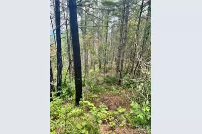 1.46 Acres, Lot 48 Tomahawk Ridge Drive #Lot 48, Lenoir, NC 28645 - Photo 7