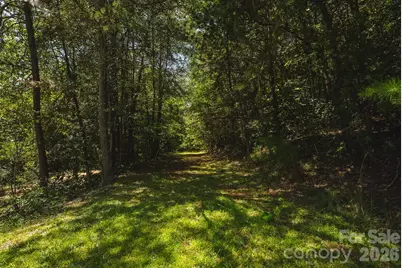 51 Fred Jolly Lane, Taylorsville, NC 28681 - Photo 39