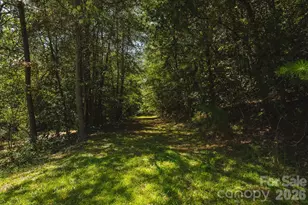51 Fred Jolly Ln, Taylorsville, NC 28681 - Photo 39