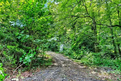 111 Walkertown Road, Black Mountain, NC 28711 - Photo 7