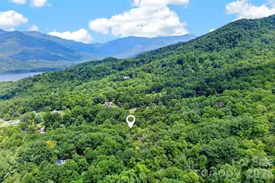 111 Walkertown Road, Black Mountain, NC 28711 - Photo 23