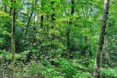 111 Walkertown Road, Black Mountain, NC 28711 - Photo 15