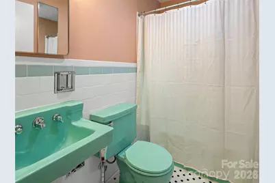 209 White Pine Drive, Asheville, NC 28805 - Photo 25