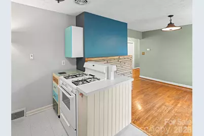 209 White Pine Drive, Asheville, NC 28805 - Photo 17