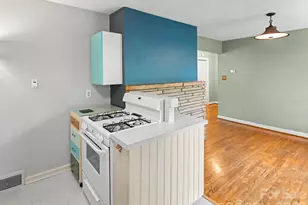 209 White Pine Dr, Asheville, NC 28805 - Photo 17
