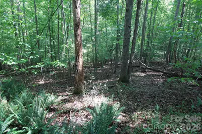 00 Webster Road, Stoneville, NC 27047 - Photo 5