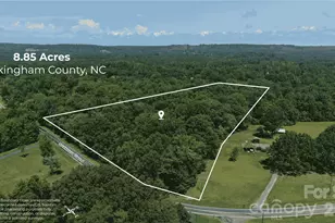 00 Webster Rd, Stoneville, NC 27047 - Photo 1