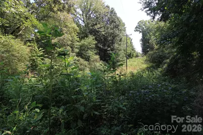 00 Webster Road, Stoneville, NC 27047 - Photo 7