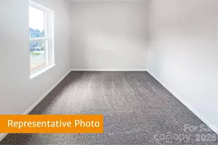 4145 Ruth Crk Ct, Charlotte, NC 28216 - Photo 17