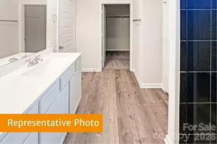 4145 Ruth Crk Ct, Charlotte, NC 28216 - Photo 11