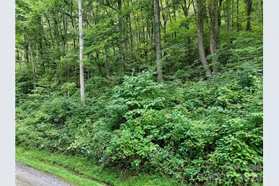 191 Merrie Way #62, Waynesville, NC 28786 - Photo 5