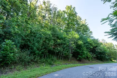 70 Hawtree Court, Weaverville, NC 28787 - Photo 17