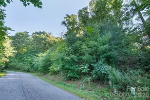 70 Hawtree Ct, Weaverville, NC 28787 - Photo 1