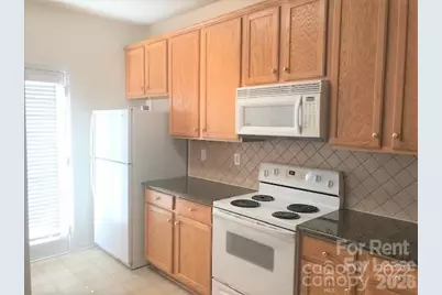 1307 Smokey Quartz Lane, Fort Mill, SC 29708 - Photo 3