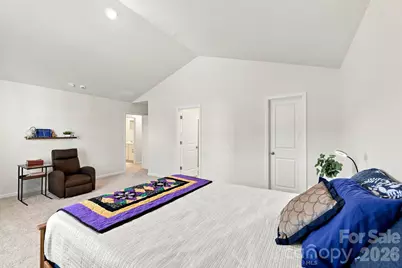 117 Colt Street, Candler, NC 28715 - Photo 21