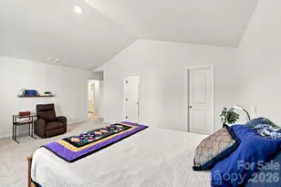 117 Colt St, Candler, NC 28715 - Photo 21