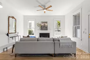 361 Elis Way, Fort Mill, SC 29708 - Photo 21