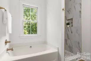 361 Elis Way, Fort Mill, SC 29708 - Photo 41