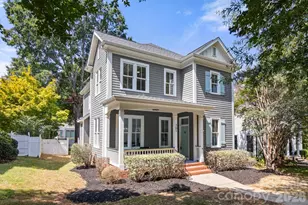 361 Elis Way, Fort Mill, SC 29708 - Photo 45