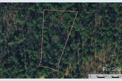 Tbd Rich Pine Drive #119, Purlear, NC 28665 - Photo 3