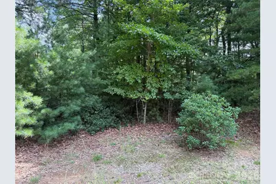 Tbd Rich Pine Drive #119, Purlear, NC 28665 - Photo 7