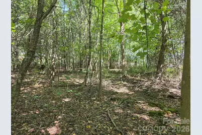 Tbd Pinkwood Drive, Rutherfordton, NC 28139 - Photo 11