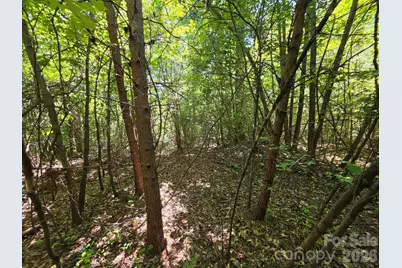 Tbd Pinkwood Drive, Rutherfordton, NC 28139 - Photo 9