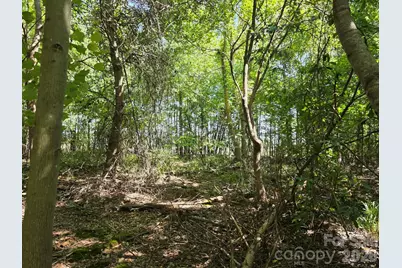 Tbd Pinkwood Drive, Rutherfordton, NC 28139 - Photo 13