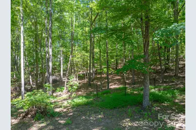 257 Adirondack Trail #180, Nebo, NC 28761 - Photo 39