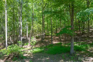 257 Adirondack Trail, Nebo, NC 28761 - Photo 39