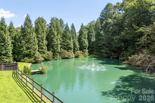 20 Spring Lake Dr, Mills River, NC 28759 - Photo 35