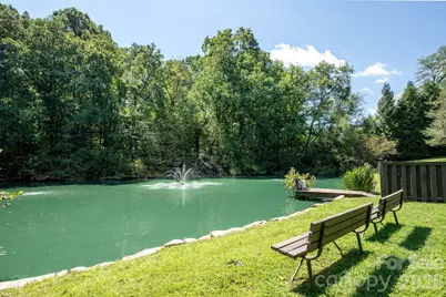 20 Spring Lake Drive, Mills River, NC 28759 - Photo 39